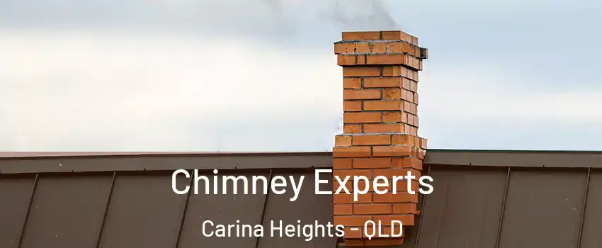 Chimney Experts Carina Heights - QLD