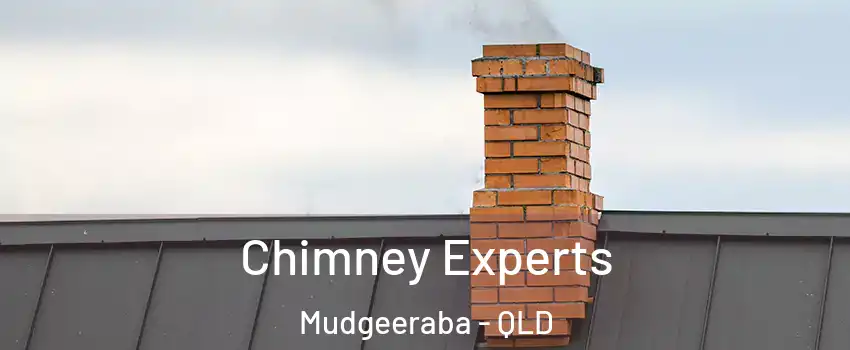 Chimney Experts Mudgeeraba - QLD