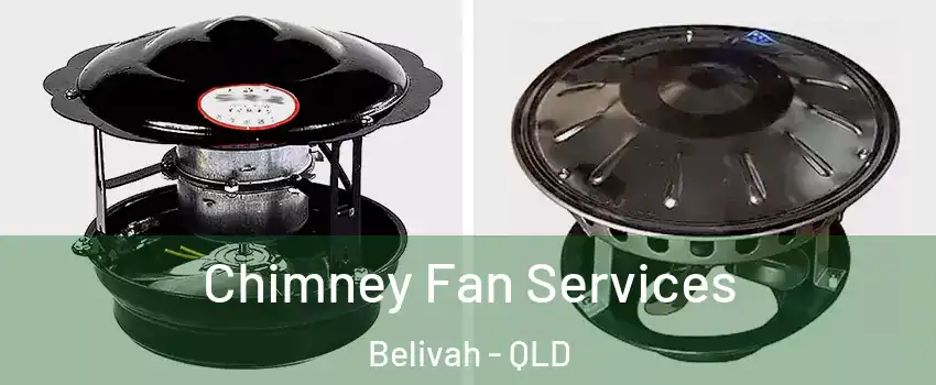 Chimney Fan Services Belivah - QLD