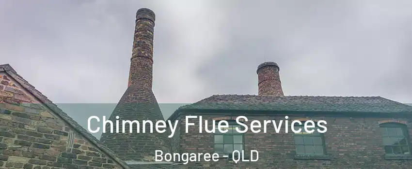 Chimney Flue Services Bongaree - QLD