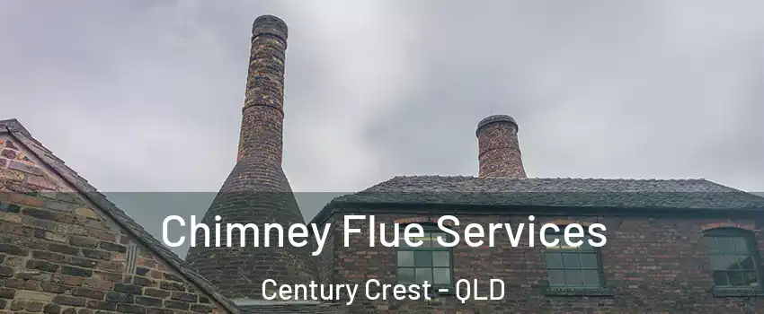 Chimney Flue Services Century Crest - QLD
