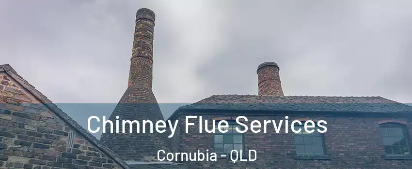 Chimney Flue Services Cornubia - QLD