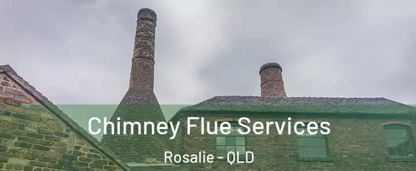 Chimney Flue Services Rosalie - QLD