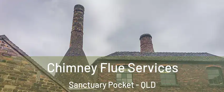 Chimney Flue Services Sanctuary Pocket - QLD