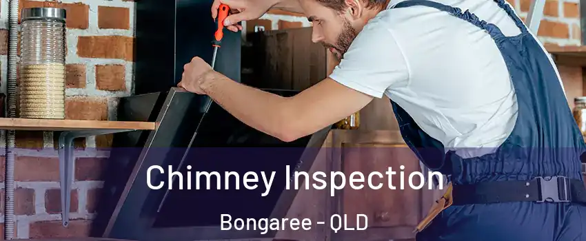 Chimney Inspection Bongaree - QLD