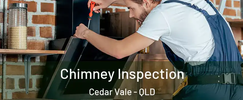 Chimney Inspection Cedar Vale - QLD