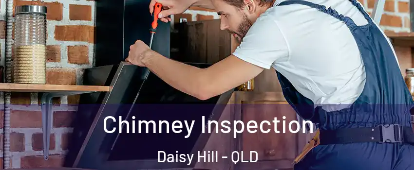 Chimney Inspection Daisy Hill - QLD