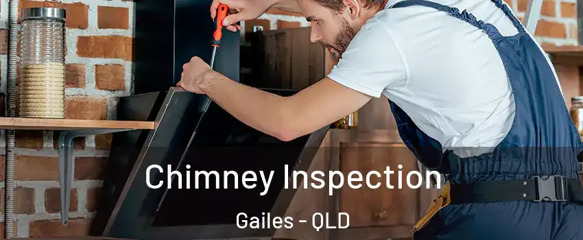 Chimney Inspection Gailes - QLD