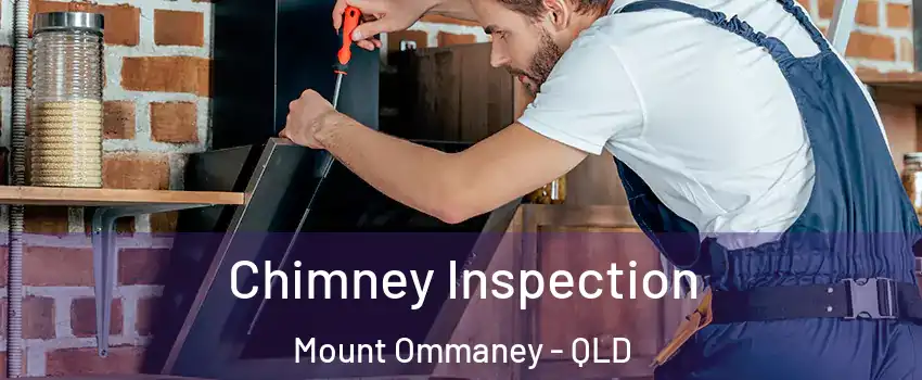 Chimney Inspection Mount Ommaney - QLD