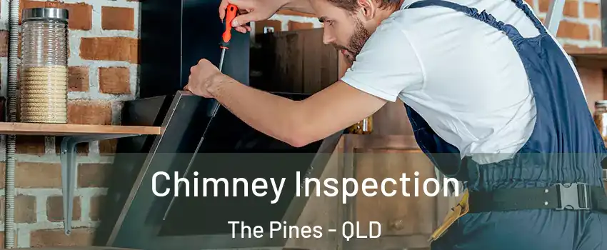 Chimney Inspection The Pines - QLD