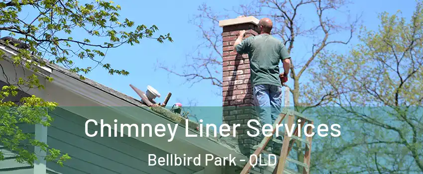 Chimney Liner Services Bellbird Park - QLD