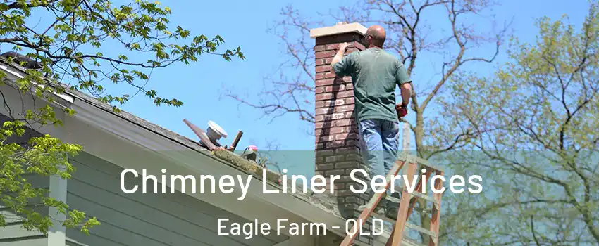 Chimney Liner Services Eagle Farm - QLD