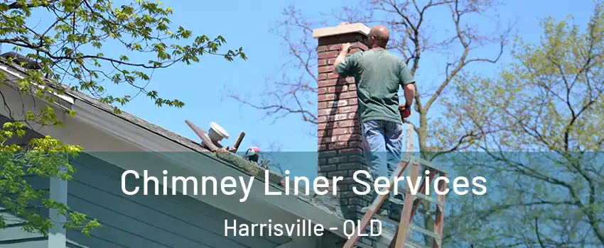 Chimney Liner Services Harrisville - QLD