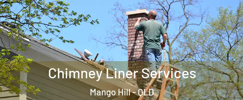 Chimney Liner Services Mango Hill - QLD