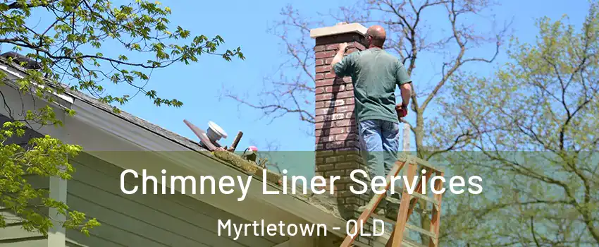 Chimney Liner Services Myrtletown - QLD