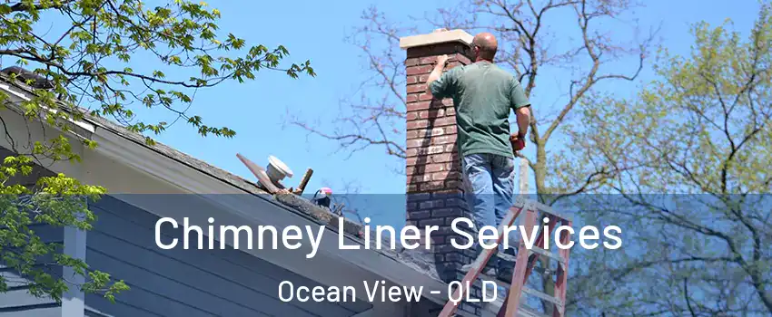Chimney Liner Services Ocean View - QLD