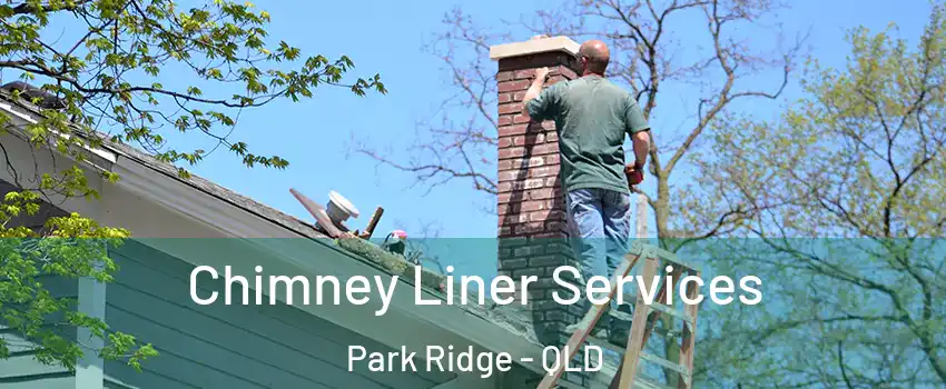 Chimney Liner Services Park Ridge - QLD