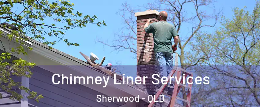 Chimney Liner Services Sherwood - QLD