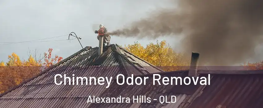 Chimney Odor Removal Alexandra Hills - QLD