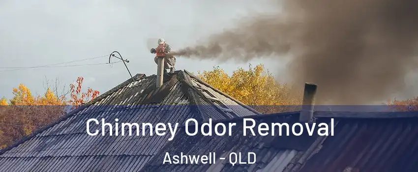 Chimney Odor Removal Ashwell - QLD