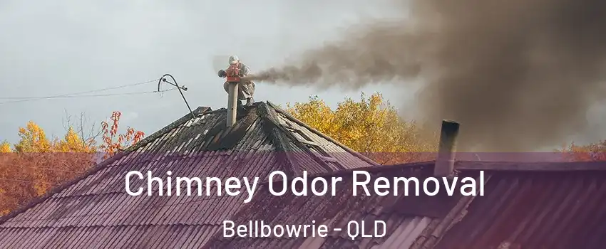 Chimney Odor Removal Bellbowrie - QLD