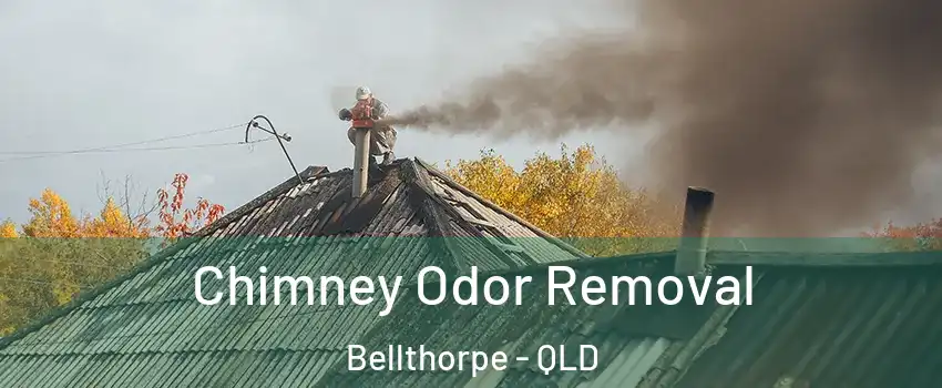 Chimney Odor Removal Bellthorpe - QLD