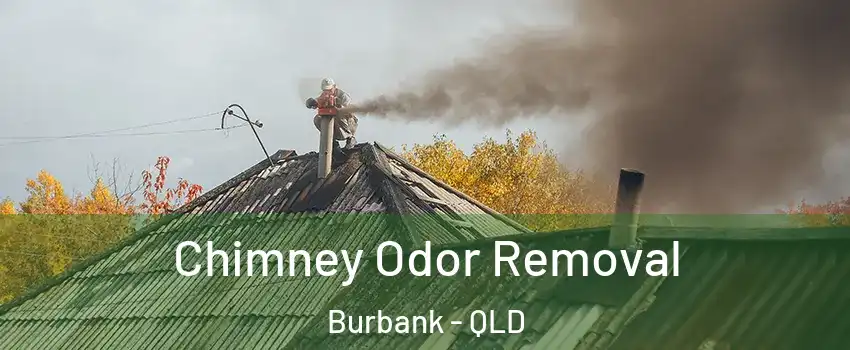 Chimney Odor Removal Burbank - QLD