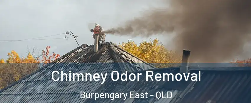 Chimney Odor Removal Burpengary East - QLD