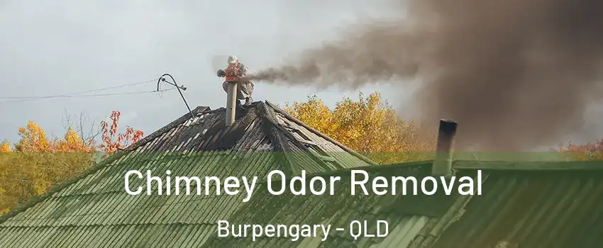 Chimney Odor Removal Burpengary - QLD