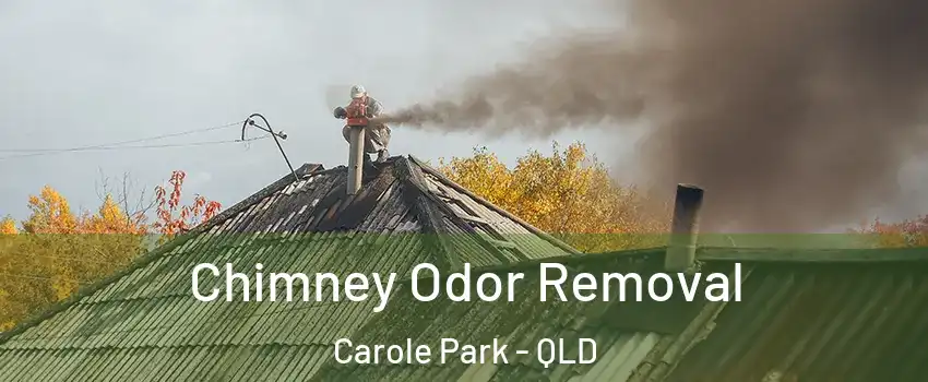 Chimney Odor Removal Carole Park - QLD