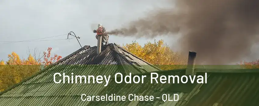 Chimney Odor Removal Carseldine Chase - QLD