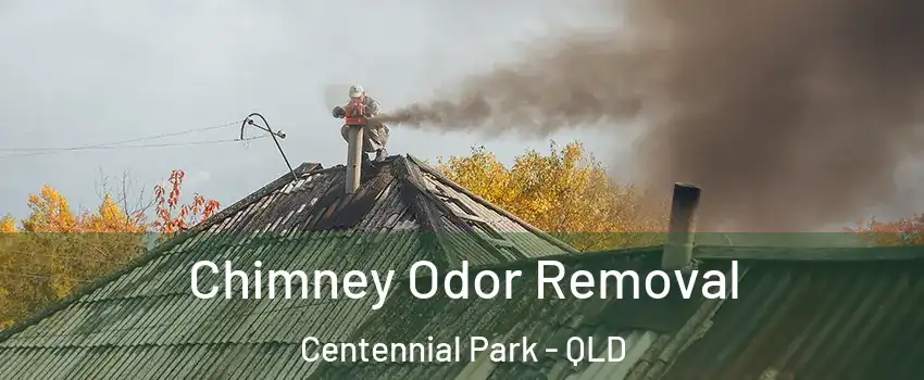 Chimney Odor Removal Centennial Park - QLD