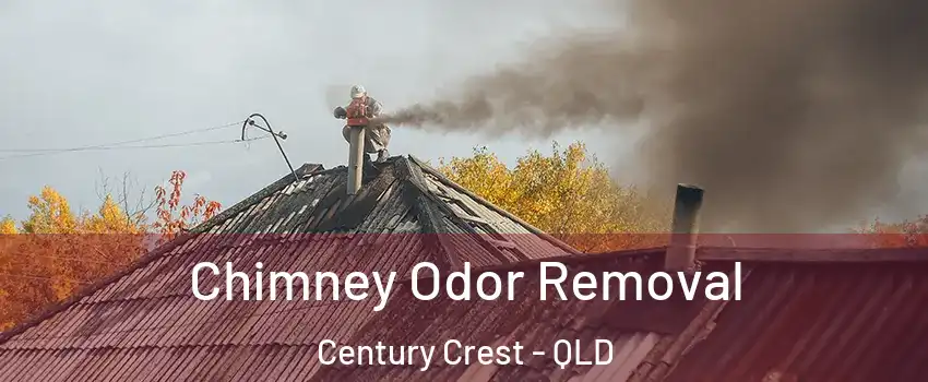 Chimney Odor Removal Century Crest - QLD