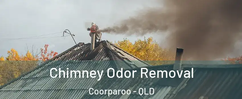 Chimney Odor Removal Coorparoo - QLD