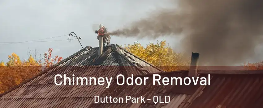 Chimney Odor Removal Dutton Park - QLD