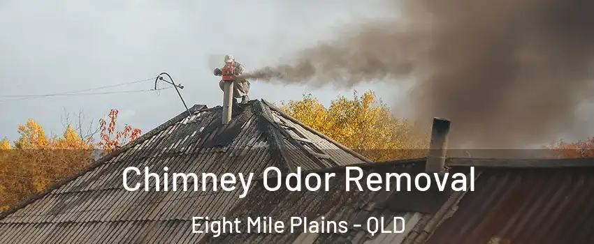 Chimney Odor Removal Eight Mile Plains - QLD