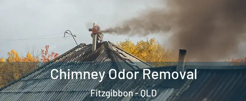 Chimney Odor Removal Fitzgibbon - QLD