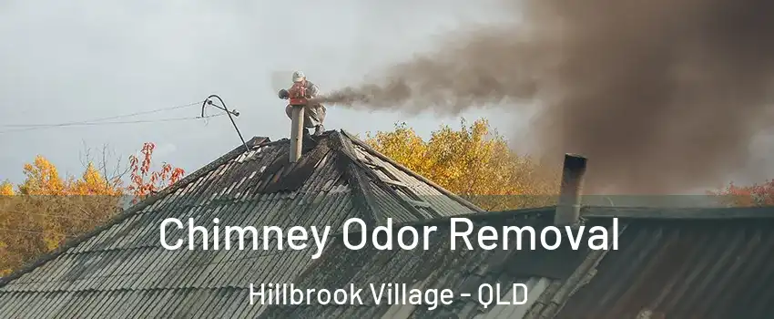 Chimney Odor Removal Hillbrook Village - QLD