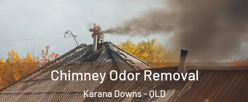 Chimney Odor Removal Karana Downs - QLD