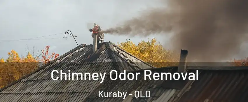 Chimney Odor Removal Kuraby - QLD