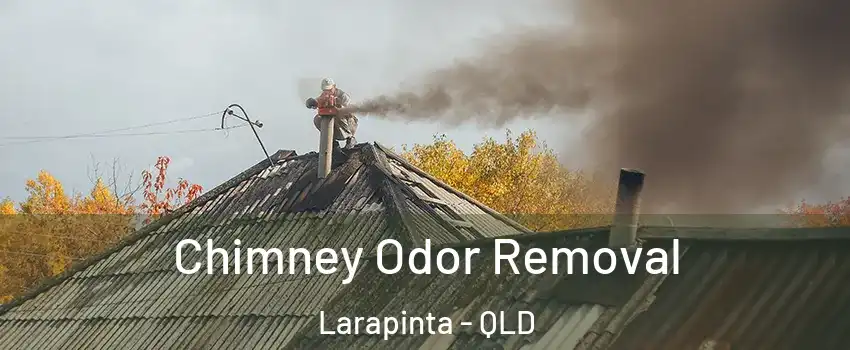Chimney Odor Removal Larapinta - QLD