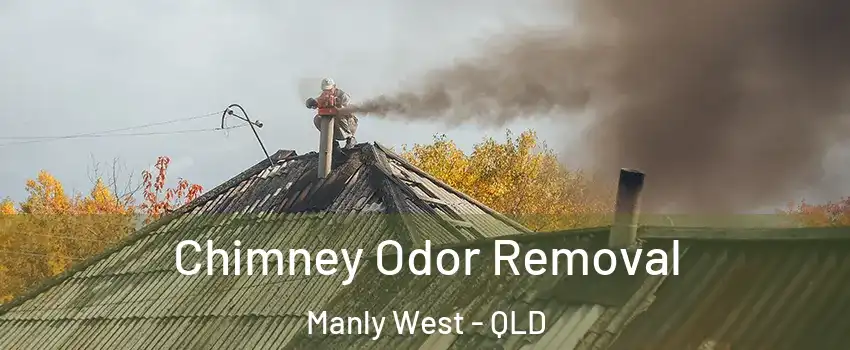 Chimney Odor Removal Manly West - QLD