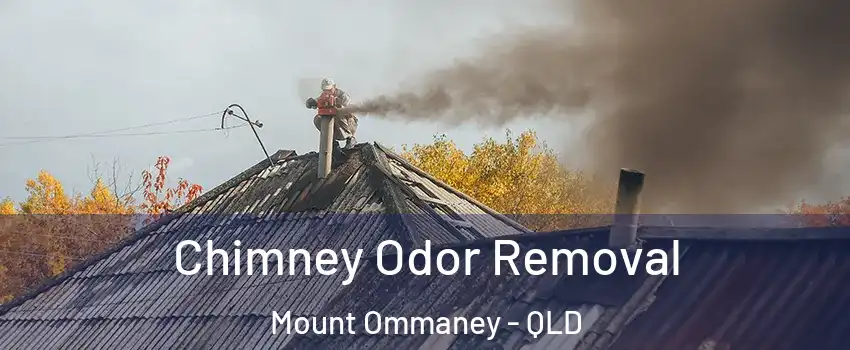 Chimney Odor Removal Mount Ommaney - QLD