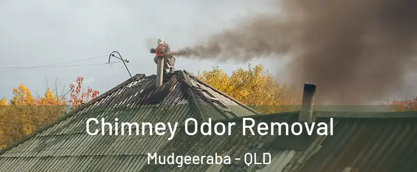 Chimney Odor Removal Mudgeeraba - QLD