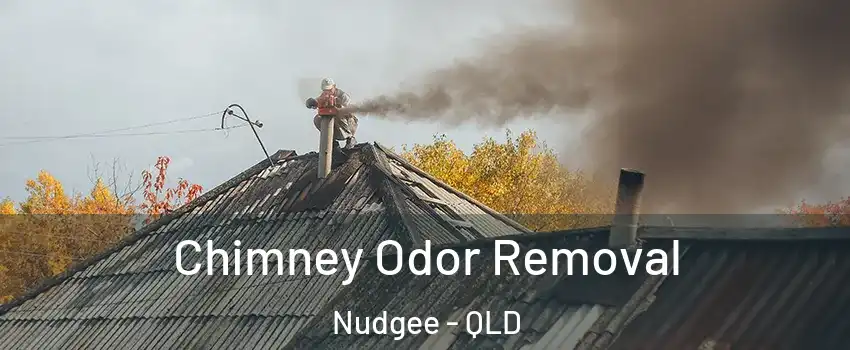 Chimney Odor Removal Nudgee - QLD