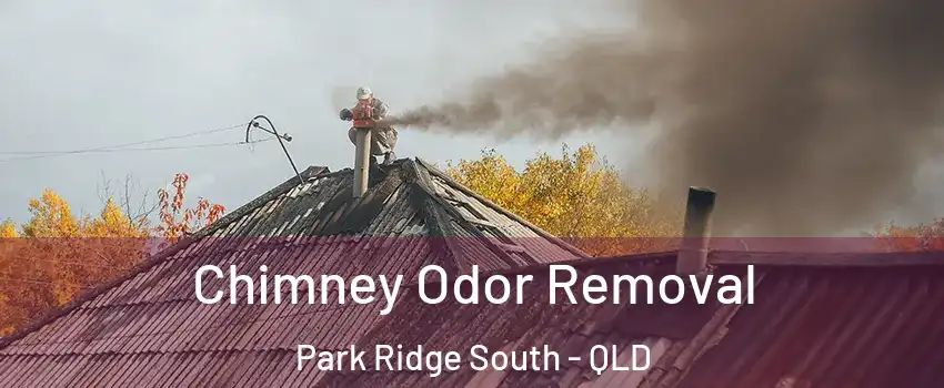 Chimney Odor Removal Park Ridge South - QLD