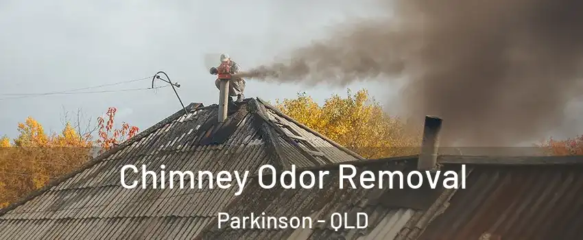 Chimney Odor Removal Parkinson - QLD
