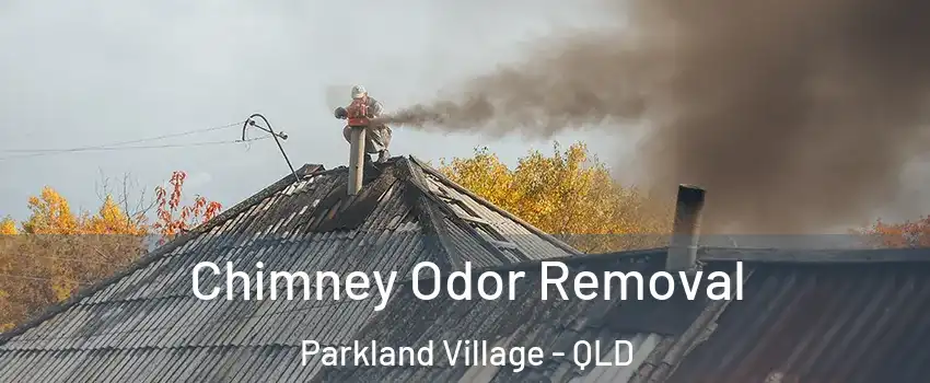 Chimney Odor Removal Parkland Village - QLD