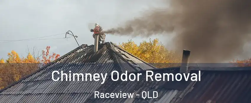 Chimney Odor Removal Raceview - QLD