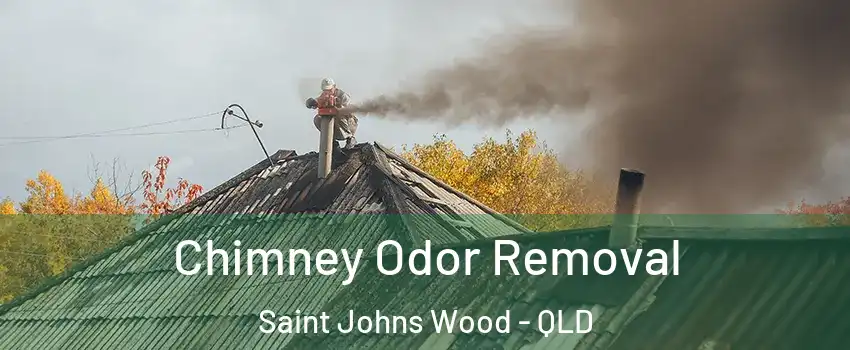 Chimney Odor Removal Saint Johns Wood - QLD